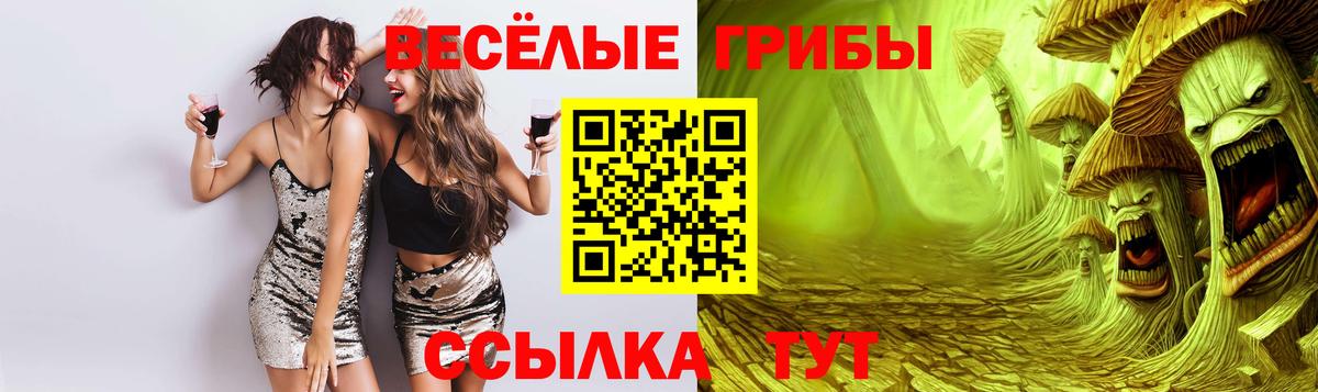 Псилоцибиновые грибы мухоморы  Вход с VPN  Галлюциногенные грибы ЛСД  Алатырь 